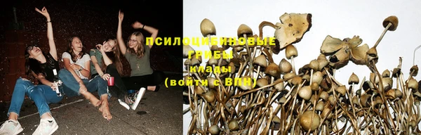 MDMA Premium VHQ Заволжск