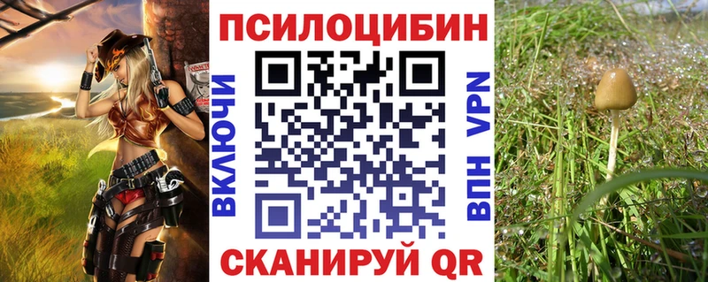 Псилоцибиновые грибы Psilocybine cubensis  Керчь 